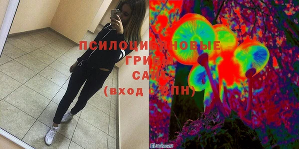 не бодяженный Осинники