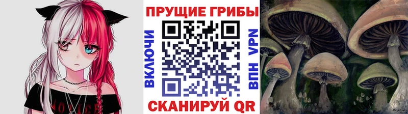 купить  цена  Рязань  Галлюциногенные грибы GOLDEN TEACHER 