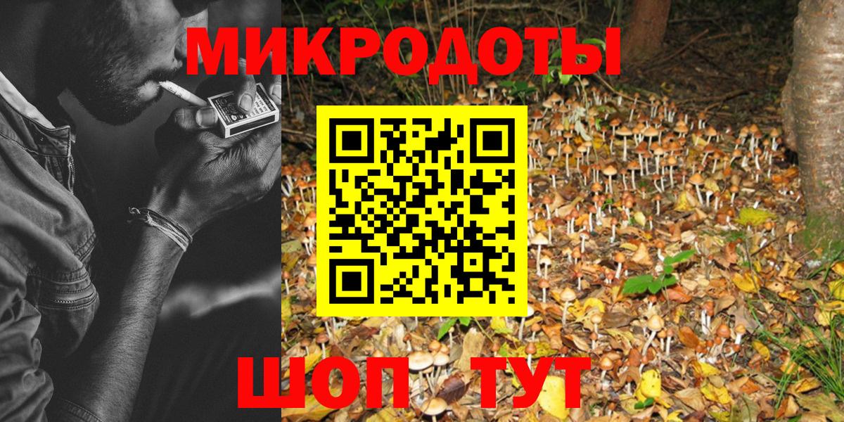 Рязань  как найти   Вход с VPN  Галлюциногенные грибы Cubensis 